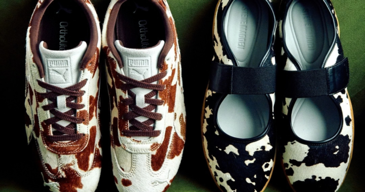 Schuh
